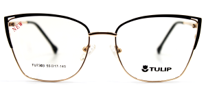 TULIP 7303 C01