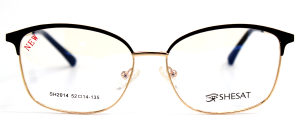 SHESAT 2014 C01