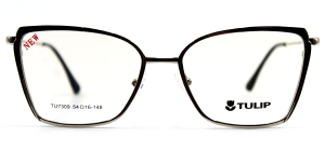 TULIP 7309 C02